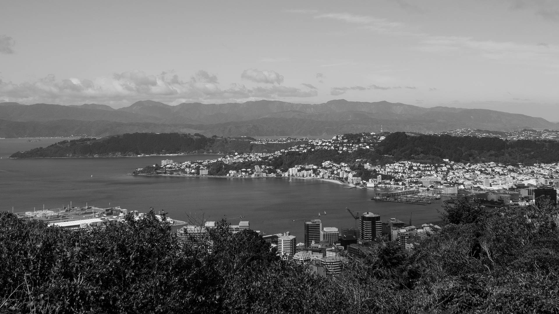 Photo of Wellington harbour